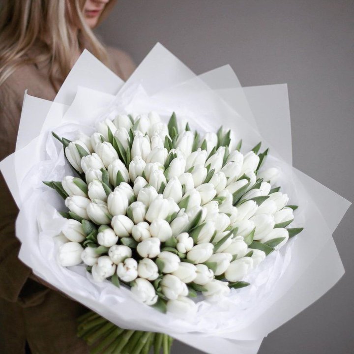 101 белый тюльпан в Красной Поляне