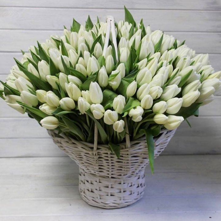 Корзина из 151 тюльпана в Красной Поляне