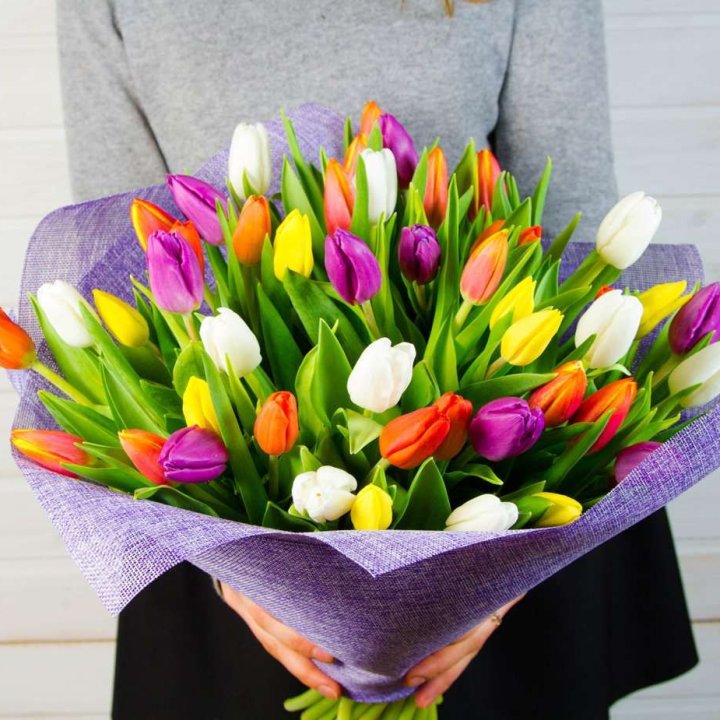 51 тюльпан "Рандом" №2 в Красной Поляне