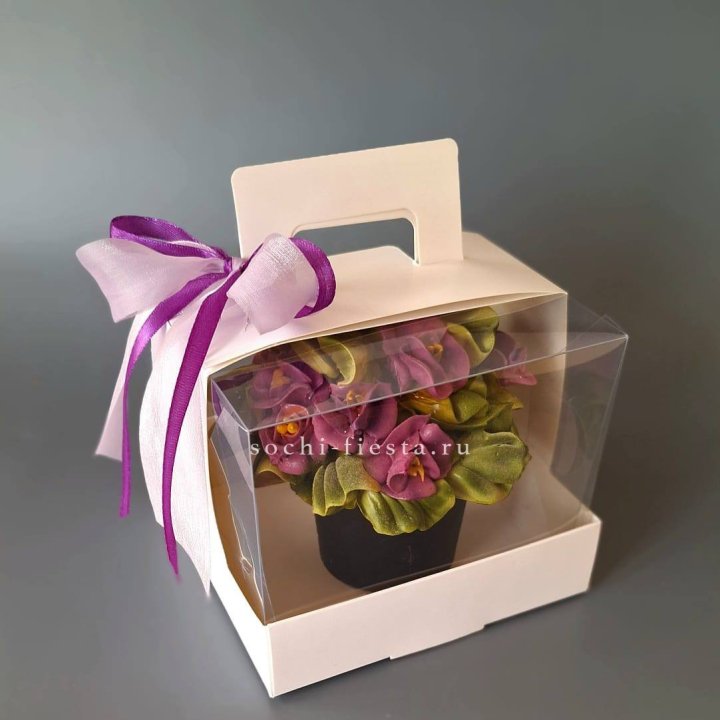  Зефир "Фиалка" в Красной Поляне