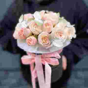 Flowerbox Moon в Красной Поляне